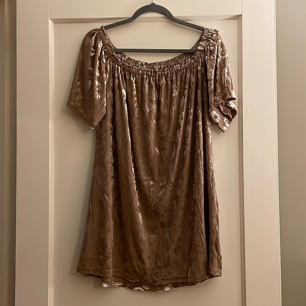 Forever 21 Velvet Burnout Off-Shoulder Dress